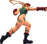 USFIV Cammy Far 5MP.png