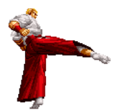 SVC Geese st.D.png