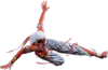 SF6 Elena 3hk.png