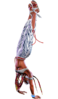 SF6 Elena 4pppkkk.png
