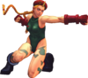 USFIV Cammy 2MP.png
