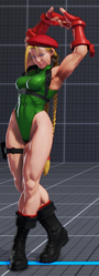 SFV Cammy 5PPPKKK.png