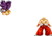 FFS Geese 3C Throw 1.png