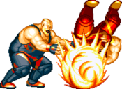 FFS Bear 6428C 1.png