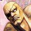 SSFIV-Sagat Face.jpg