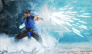 MK1 Sub-Zero fatal.png