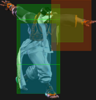 SF6 Rashid 236hp hitbox 1.png