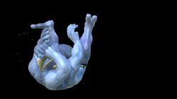 Pokken Machamp 2XR.jpg