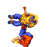 FFS Duck 4123692BC 1.gif