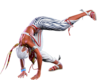 SF6 Elena 2lp.png