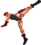 USFIV Cammy njMK.png