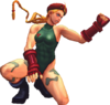 USFIV Cammy 2LP.png