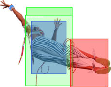 SF6 Elena 236p 6hk hitbox 2.png