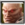 T5dr icon jack5.png