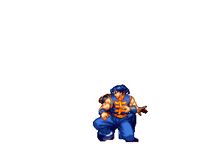 Daolongsuperflashkick.gif