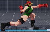 SFV Cammy 2HP.jpg