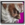 T5dr icon jinpachi.png