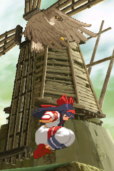 CVS2 Nakoruru bird HK.png