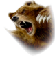 Kuma