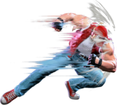 SF6 Terry 236lk.png