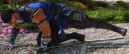MK1 Sub-Zero d3.png