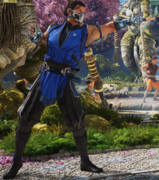 MK1 Sub-Zero 1.png