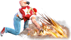 SF6 Terry 236lp.png