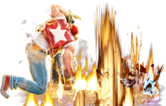SF6 Terry 236pp.png