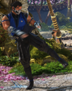 MK1 Sub-Zero b3.png