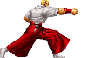 SVC Geese st.C.png