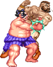 Ssf2t honda phold.png